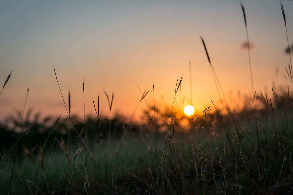 Картинка из сети