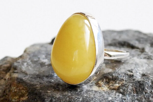 Сюрприз дофина