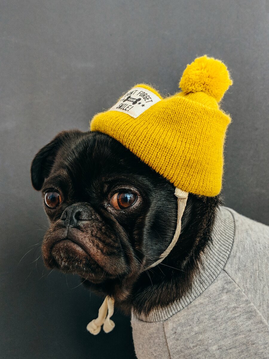 Photo by Charles on unsplash.com 