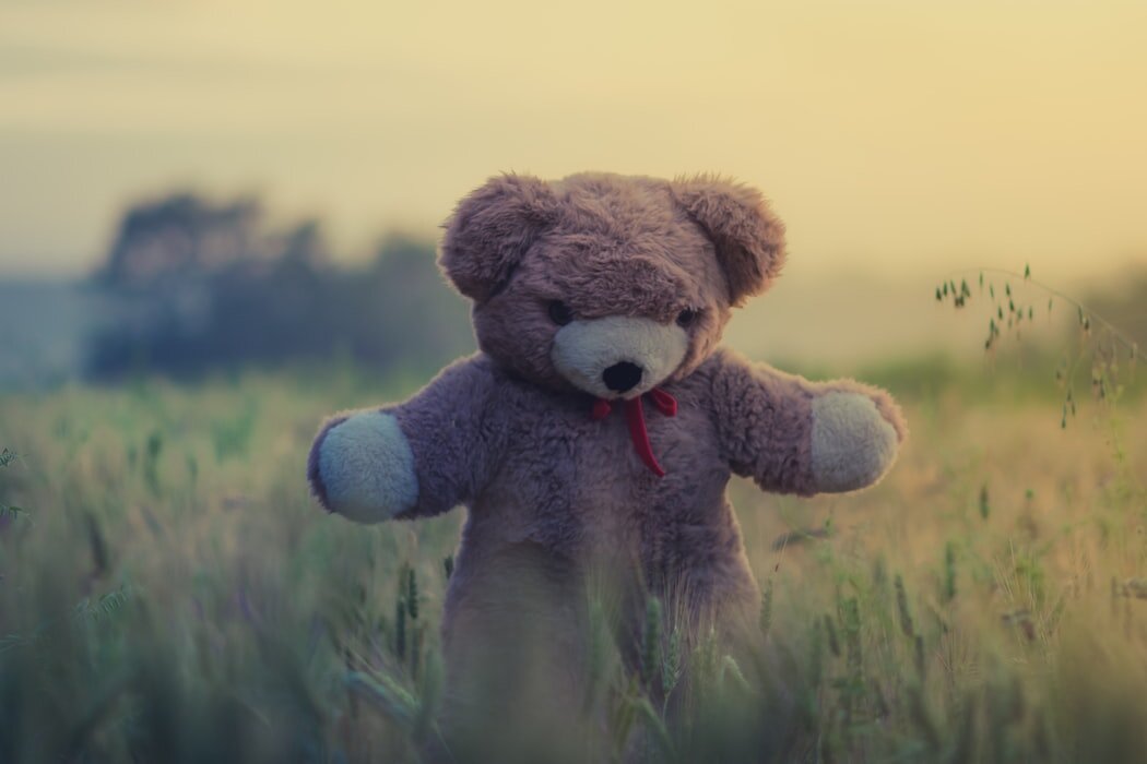 https://images.unsplash.com/photo-1465100994385-9143c8c9b366?ixlib=rb-1.2.1&ixid=eyJhcHBfaWQiOjEyMDd9&auto=format&fit=crop&w=1050&q=80