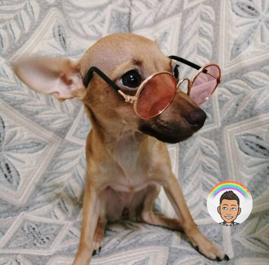 Листай вправо,чтобы увидеть больше