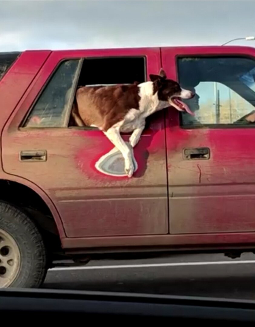 Интересно , куда же они едут...