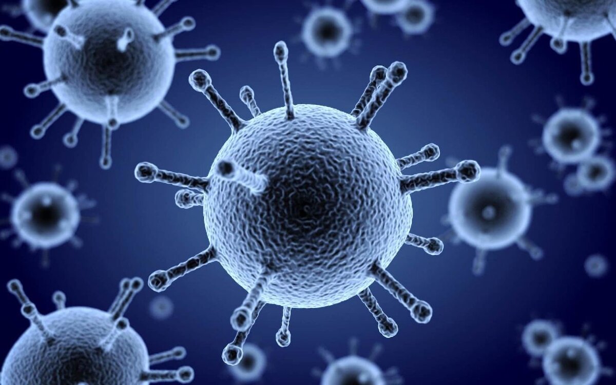 Фото взято с ресурса hhtp:// www.yandex/images