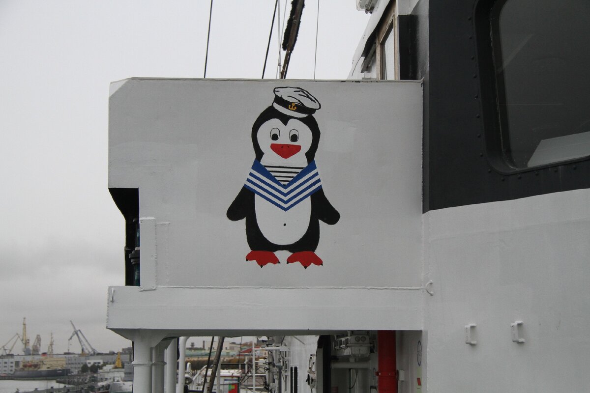 А еще там повсюду нарисованы пингвины Когда мы поднялись на борт легендарного парусника "Юный Балтиец", пришвартованного у набережной Лейтенанта Шмидта в Санкт-Петербурге, нас поразили странные...-2