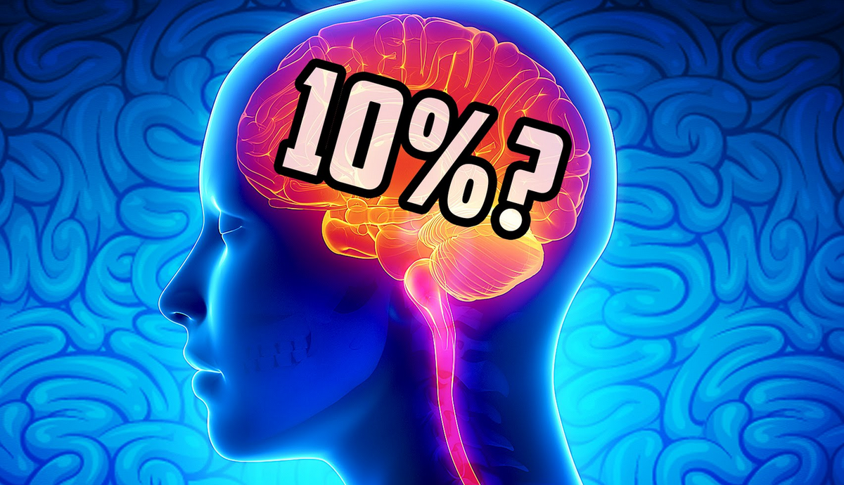 насколько работает мозг человека. мозг проценты. мозг работает на 10 процентов. мозг используется на 10 процентов миф. мозг проценты.