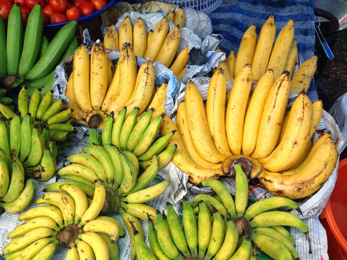 Какие бывают бананы. Тайские бананы. Бананы из Тайланда. Производитель бананов Тайланда. Бананы в Тайланде бананы в Тайланде.