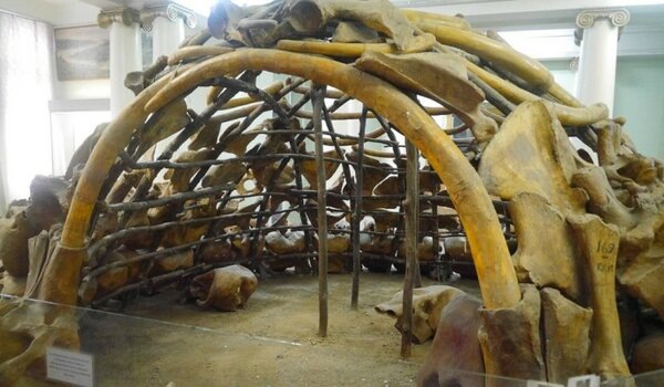 Так могла бы выглядеть найденная хижина без шкур. Хижина из костей мамонта в Палеонтологическом музее Киева