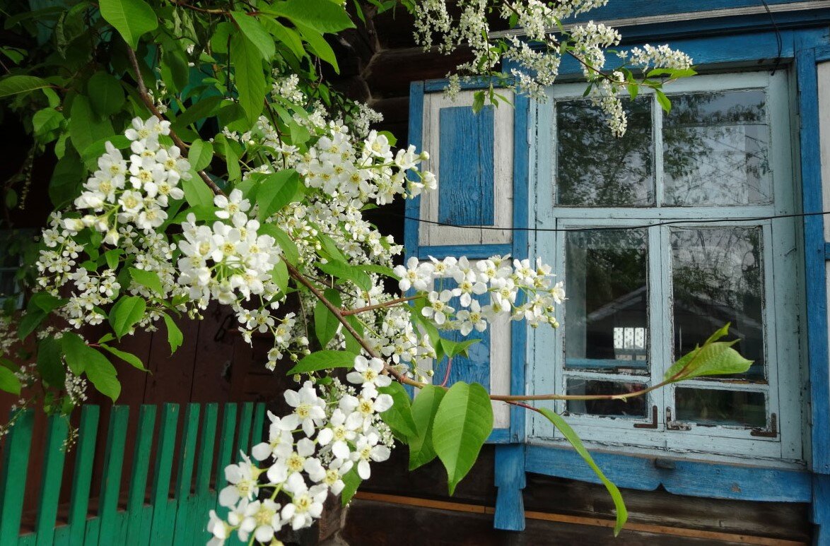 Фото из открытых источников