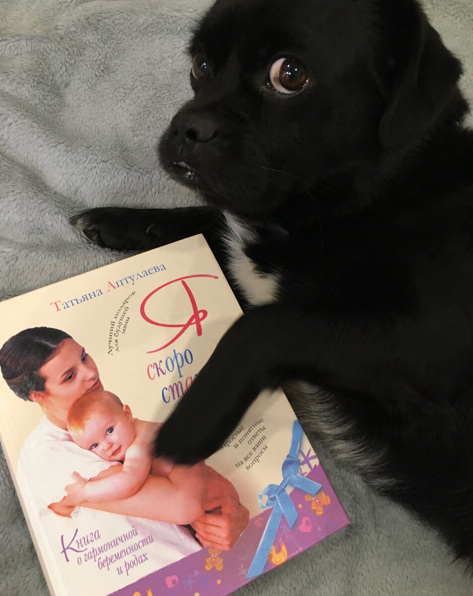 Собакин тоже изучает тематическую литературу.