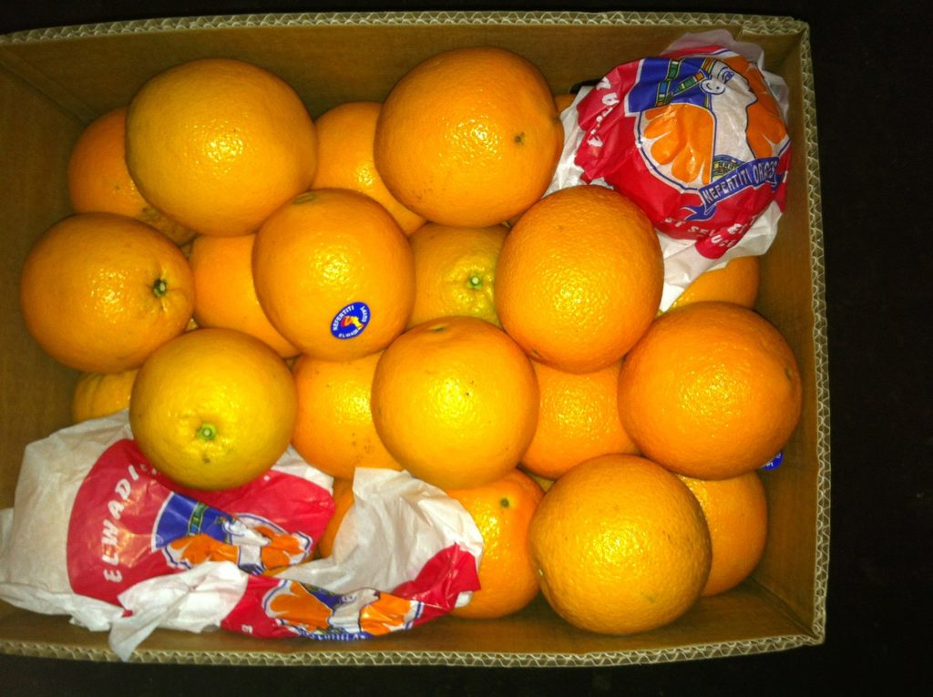 Апельсины Almostafa. Апельсины Египет. Апельсины производитель. Апельсины из Египта.
