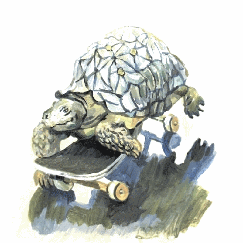 черепаха лихачит на скейте