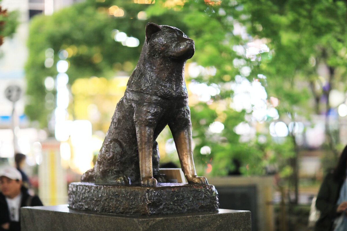 Железнодорожная станция Сибуя памятник Хатико. Памятник Хатико в Японии. Статуя Хатико в Токио. Памятник собаке Хатико в Японии.