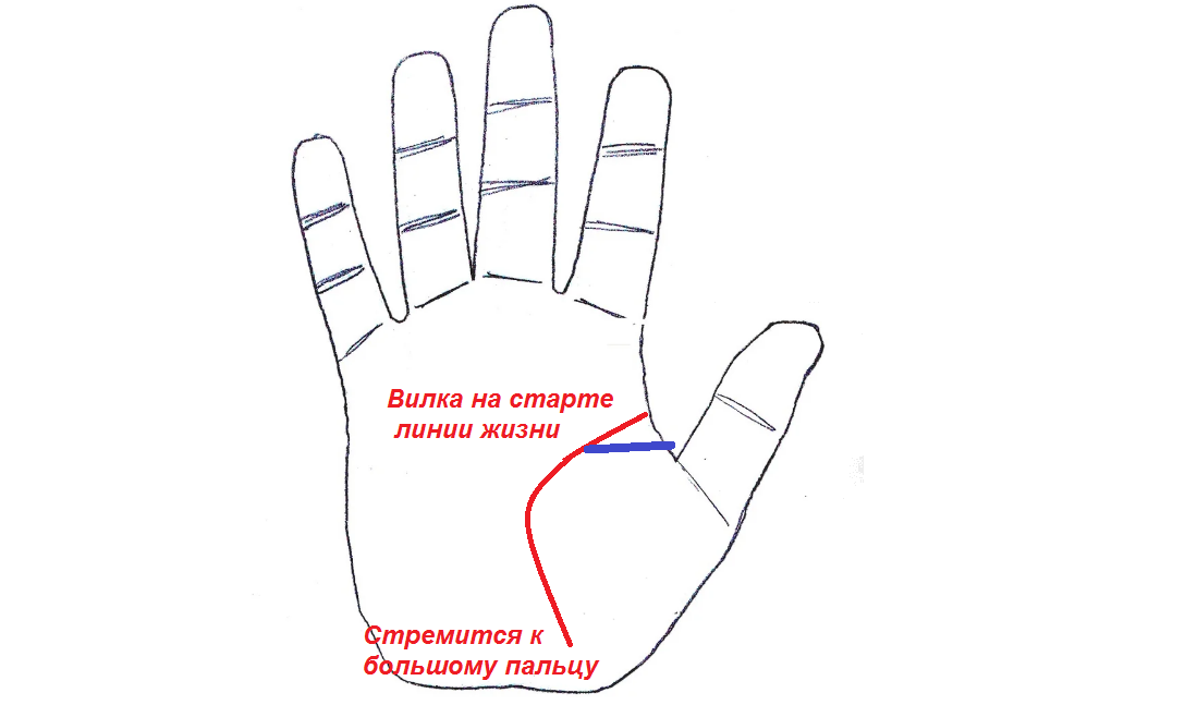 Линия жизни объекта