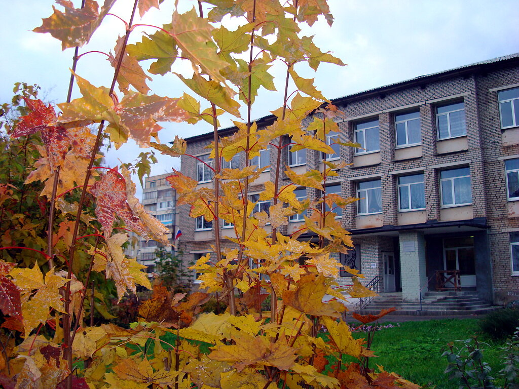 Фото школы из сети Интернет