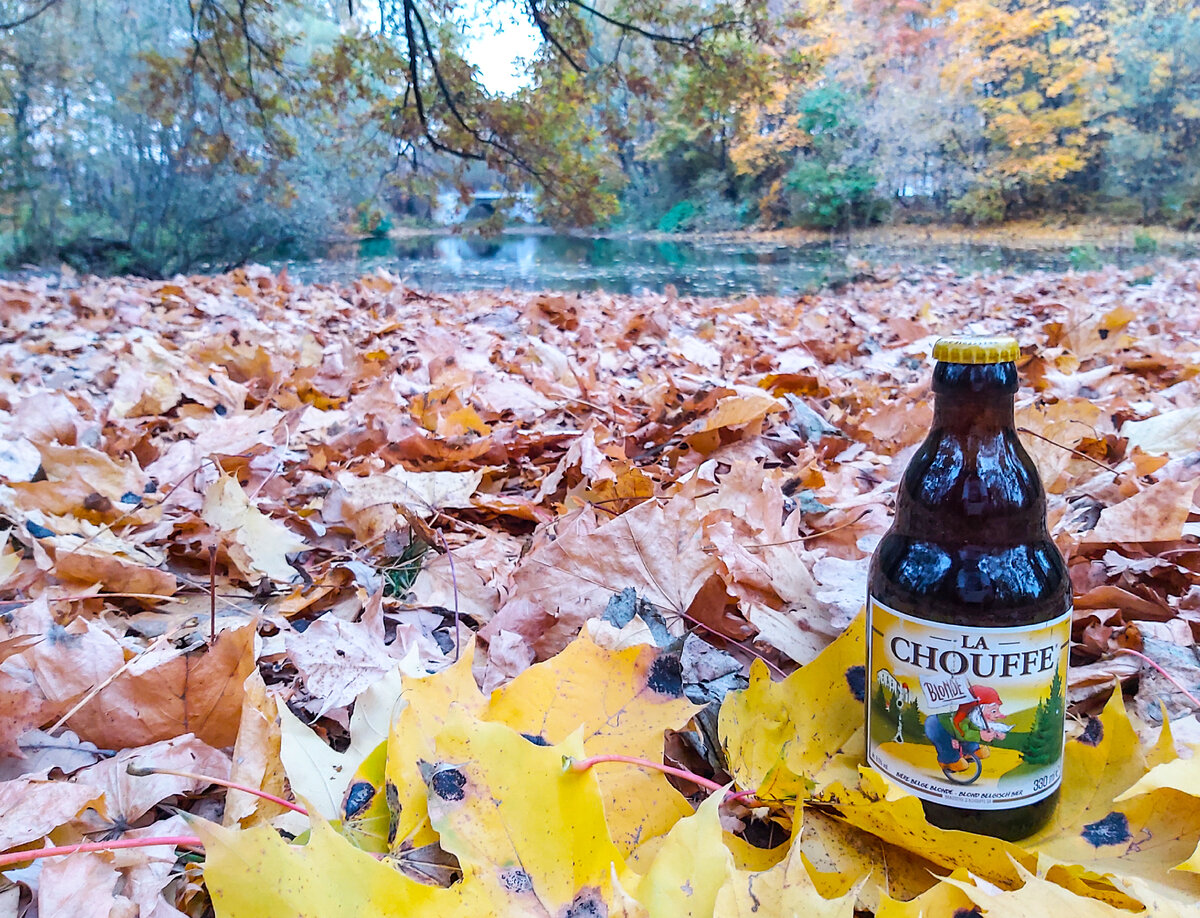 La Chouffe Blonde, фото автора