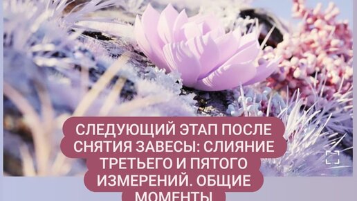 🔮️️Следующий этап после снятия завесы: слияние третьего и пятого измерений. Общие моменты