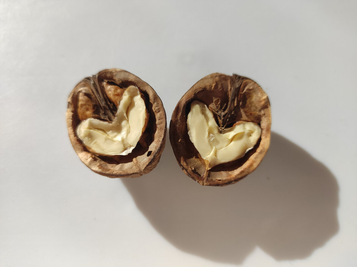 Один из орехов оказался с сердечками внутри