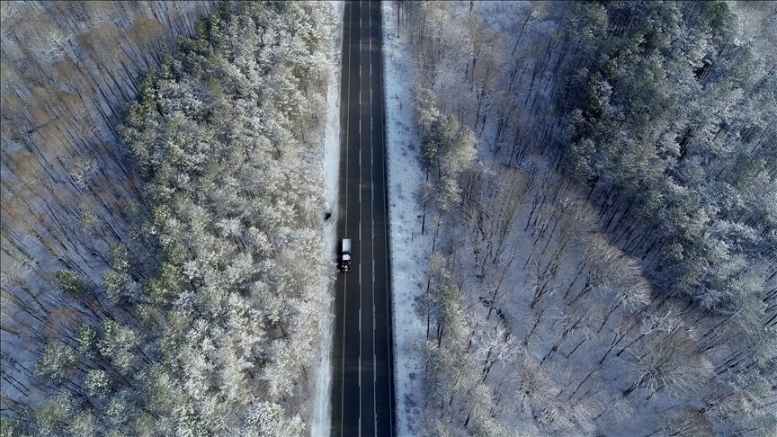Это северо-запад Турции. https://www.aa.com.tr/ru/турция/зимние-пейзажи-турции-леса-странджа/2482815