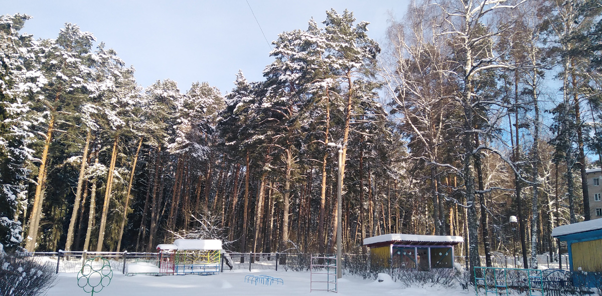 Вчерашнее фото с прогулки 