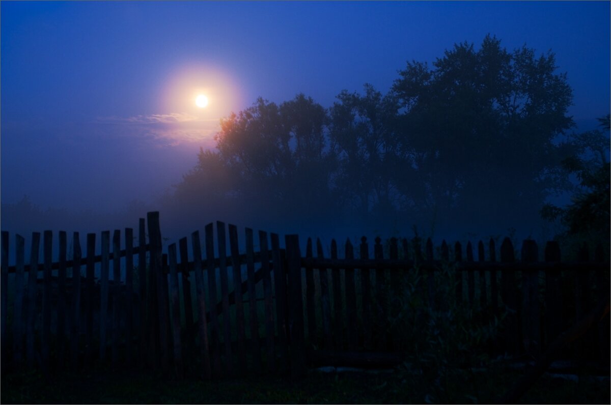 Фото с просторов интернета 