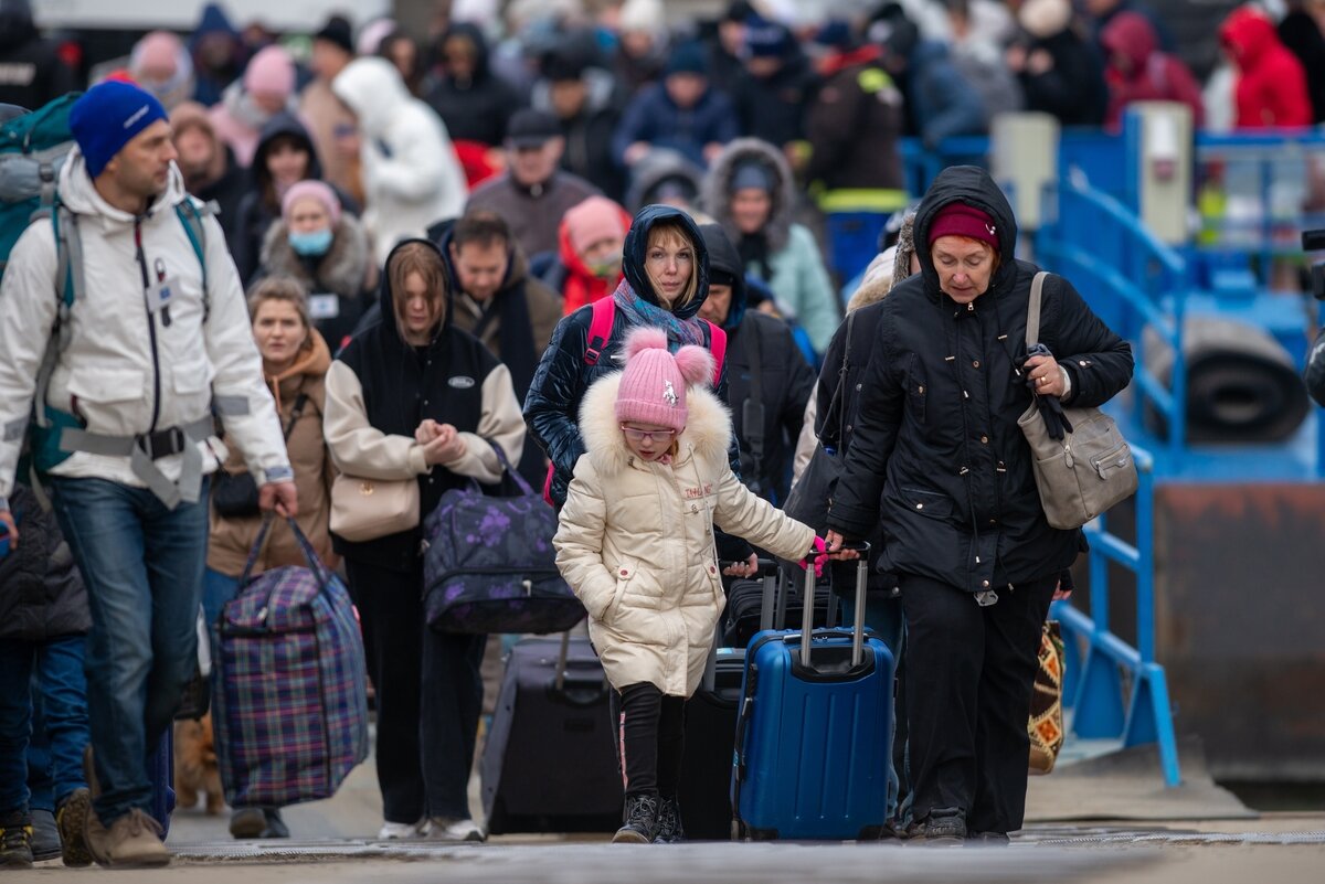 беженцы в германии все