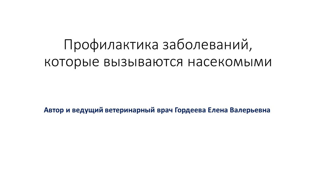 Все слайды увеличиваются в размере, если вы на них нажмете.