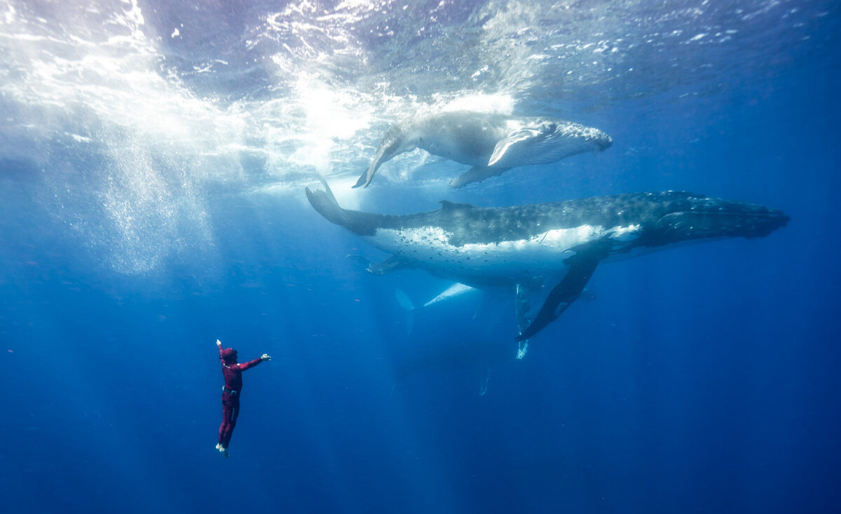 Фото: Федерация фридайвинга России https://freediving.ru/