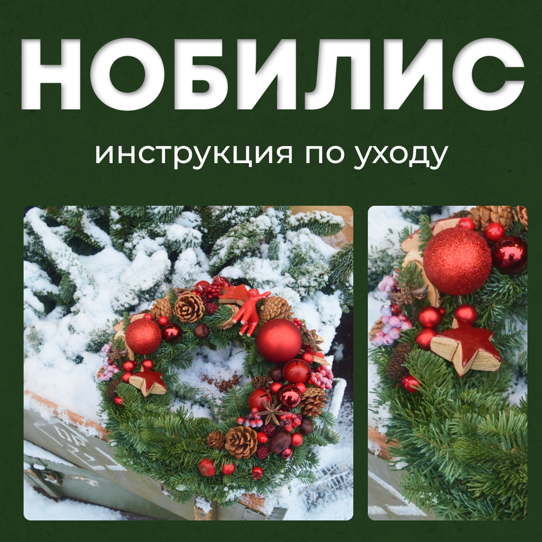 Уход за нобилисом – как отвечать на вопросы покупателей | Александр Поляшов  | Дзен