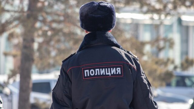    Полицейский Анна Рыжкова © ИА REGNUM