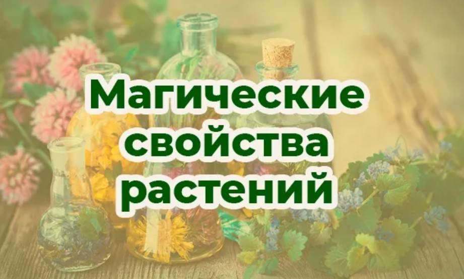 Магический травник (перечень трав)