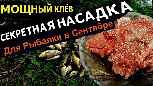 Натуральные рыболовные приманки|Насадки для рыбалки .