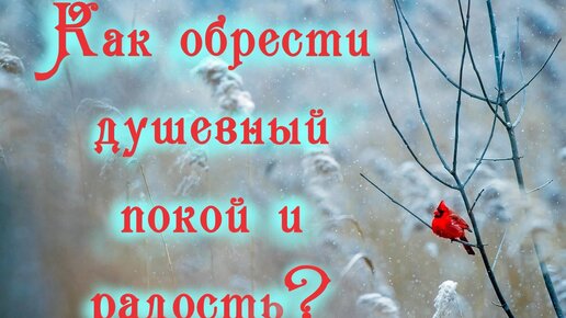 Как обрести душевный покой и радость? Почему хорошо быть смиренным? Митрополит Павел