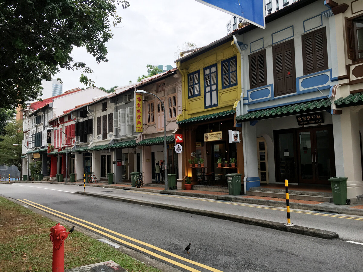 А так выглядит вся улица, да и весь китайский квартал Сингапура.