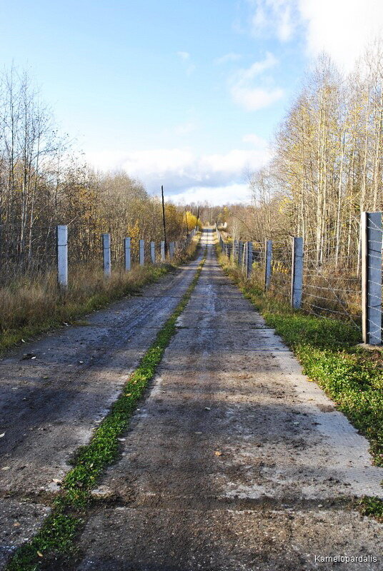  Городок хорош. Большой. Мало разграблен. Вся территория обнесена колючей  проволокой. Не все его дорожки еще заросли травой. Хотя думаю, что за  лето там побывали мародеры, сталкеры и игруны.