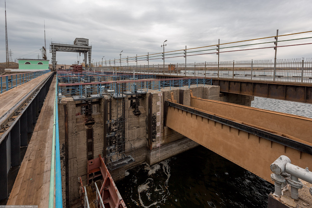 растения и животные реки ошла в марий эл. богучанское водохранилище затопленный лес. виды водохранилищ и их классификация. затопление богучанского водохранилища. затопленный поселок возле богучанской гэс.