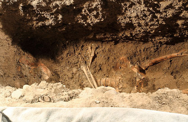 Череп - предположительно Лизы Джерардини дель Джокондо, найденный в прошлом годуВ 2012 году археологи нашли скелет Лизы