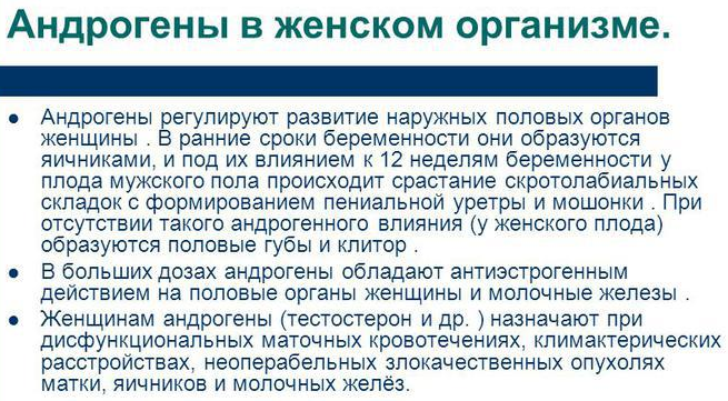 Женские половые гормоны