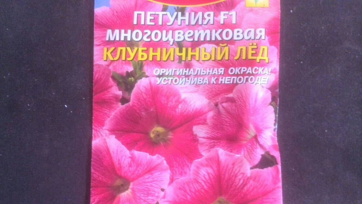 Когда сажать семена петунии на рассаду по Лунному календарю | Цветы в  квартире и на даче – от Радзевской Виктории | Дзен