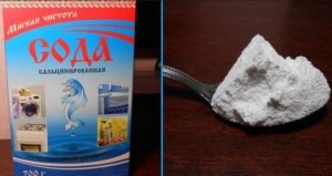  Верхние слои кожи раскисляются и дубитель свободно проходит в глубь дермы, происходит равномерный сине зелёный окрас на срезе шкуры.