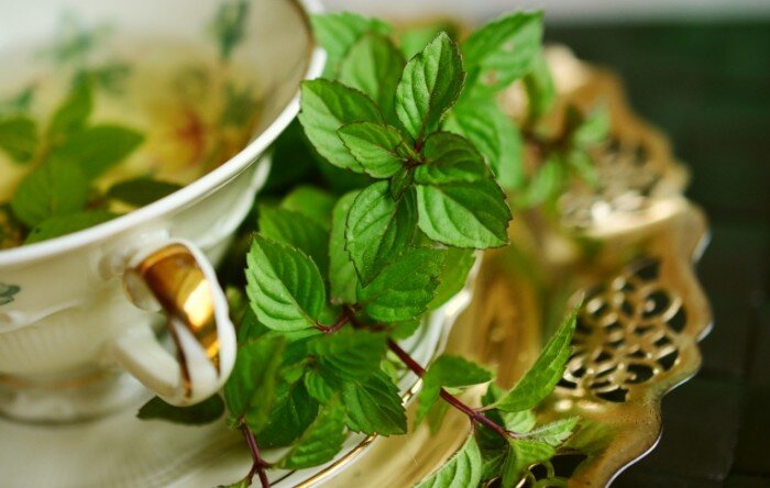  Хотя многие преимущества черного и зеленого чая хорошо известны, от повышения метаболизма до омолаживания, травяные чаи тоже могут приносить свои плоды.
