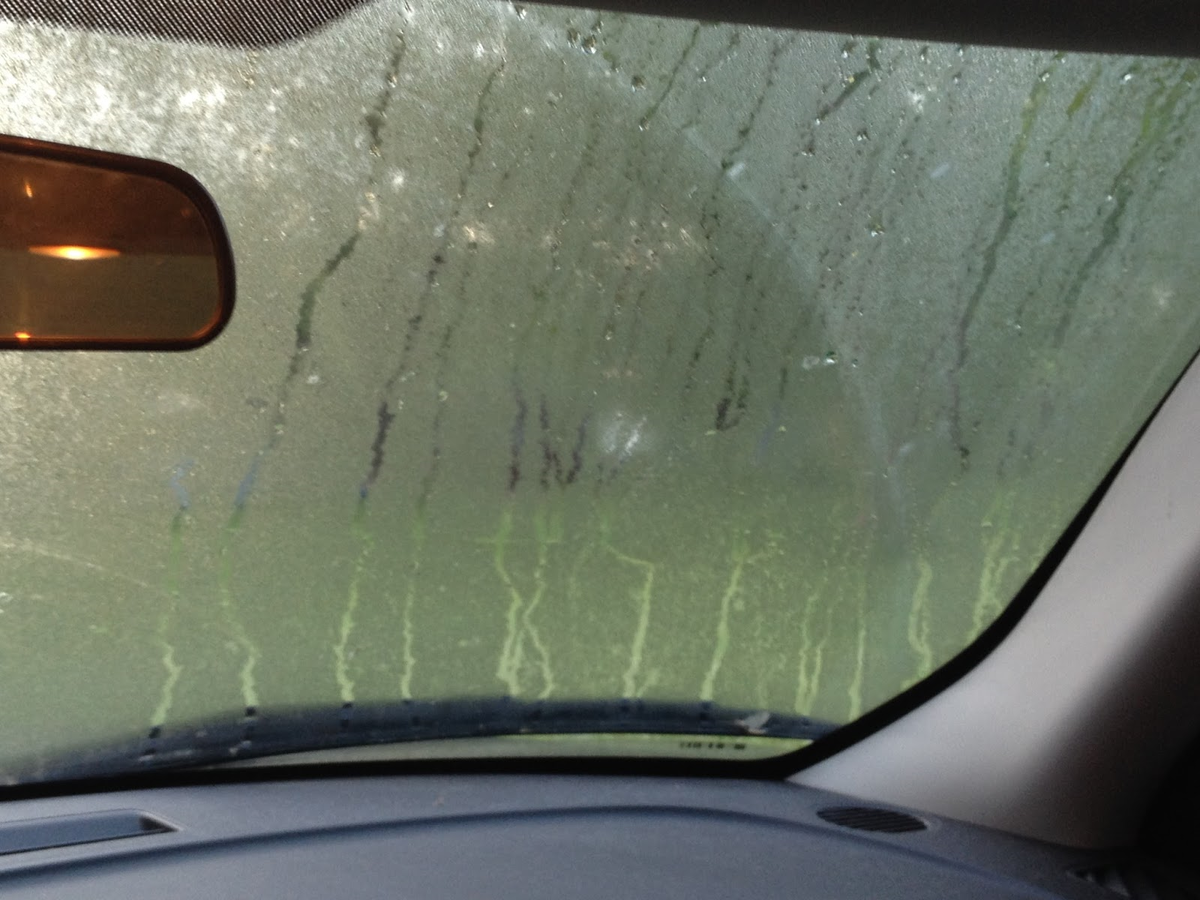 Потеет машина в дождь что делать. Запотевшие стекла автомобиля. Запотевшие стекла в машине. Запотевает лобовое стекло. Запотевшие окна в машине.