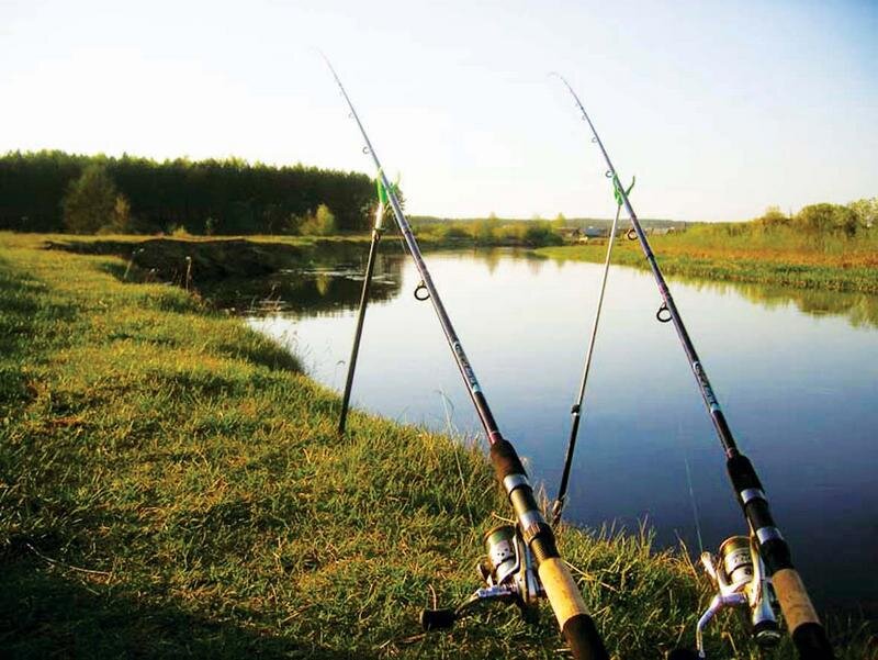 Что он из себя представляет? Говоря простыми для обывателей словами, фидер – это донная снасть, «Донка». Главное отличие фидера от донки – это тонкое последнее удилищное колено, сигнализирующее о поклёвке, и наличие специальной кормушки, крепящейся к крючку для привлечения крупной рыбы.
