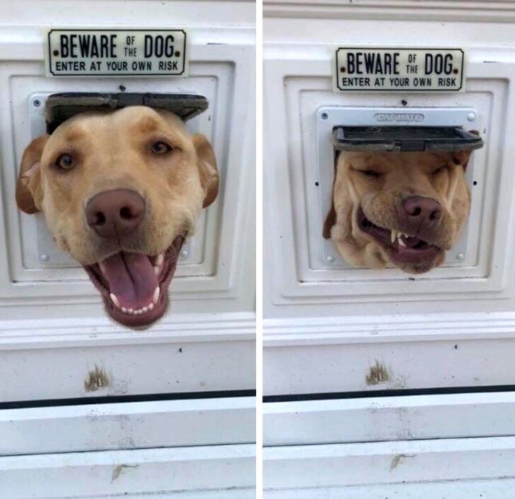 фото: imgflip.com