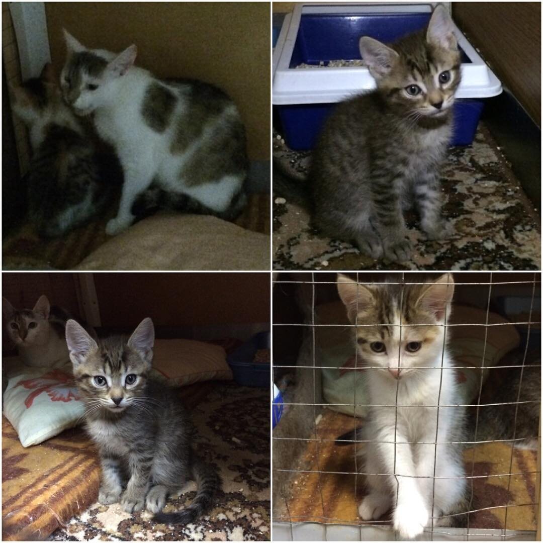 Фото: Instagram/dubna_luchik