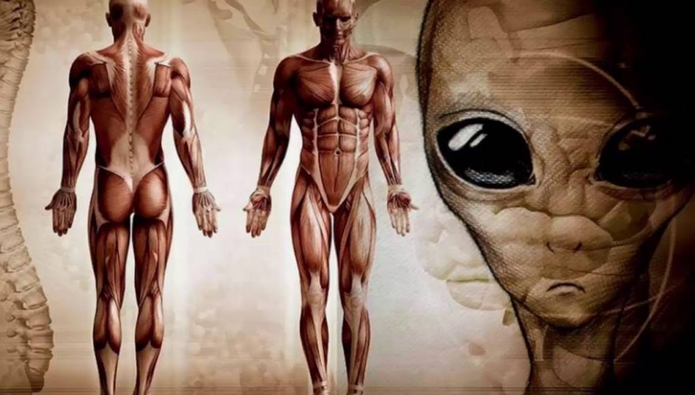 Нло, Инопланетяне, Внеземной разум