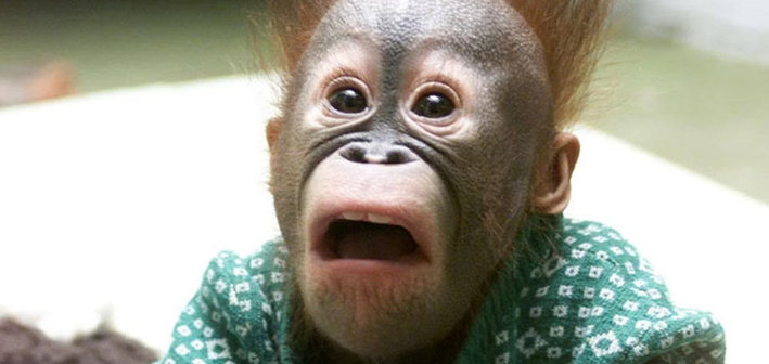 Не удивляйся, моя милая. Все бывает в жизни...