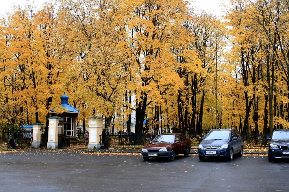 Крестовоздвиженский собор . За желтой листвой собора практически не видно.  