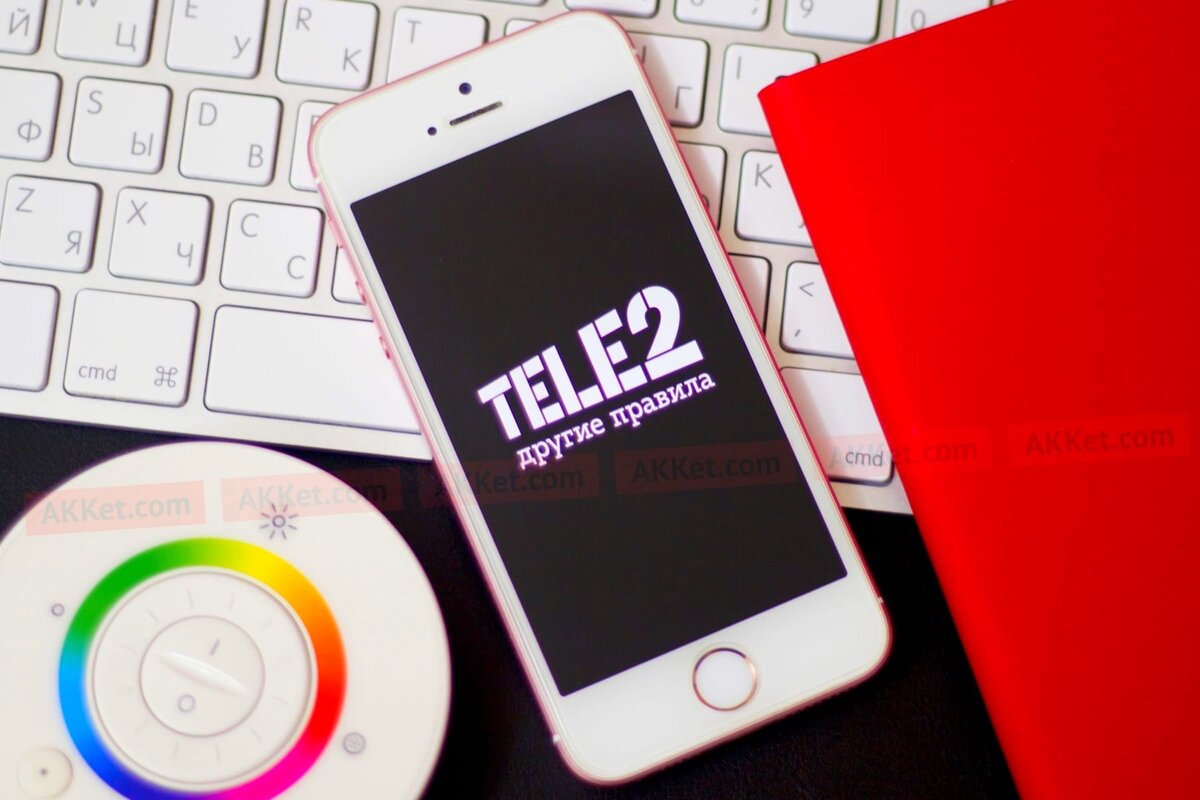 В настоящее время на рынке телекоммуникационных услуг одно из доминирующих положений занимает сотовый оператор Tele2, который делает все возможное ради того, чтобы его услугами пользовалось как можно