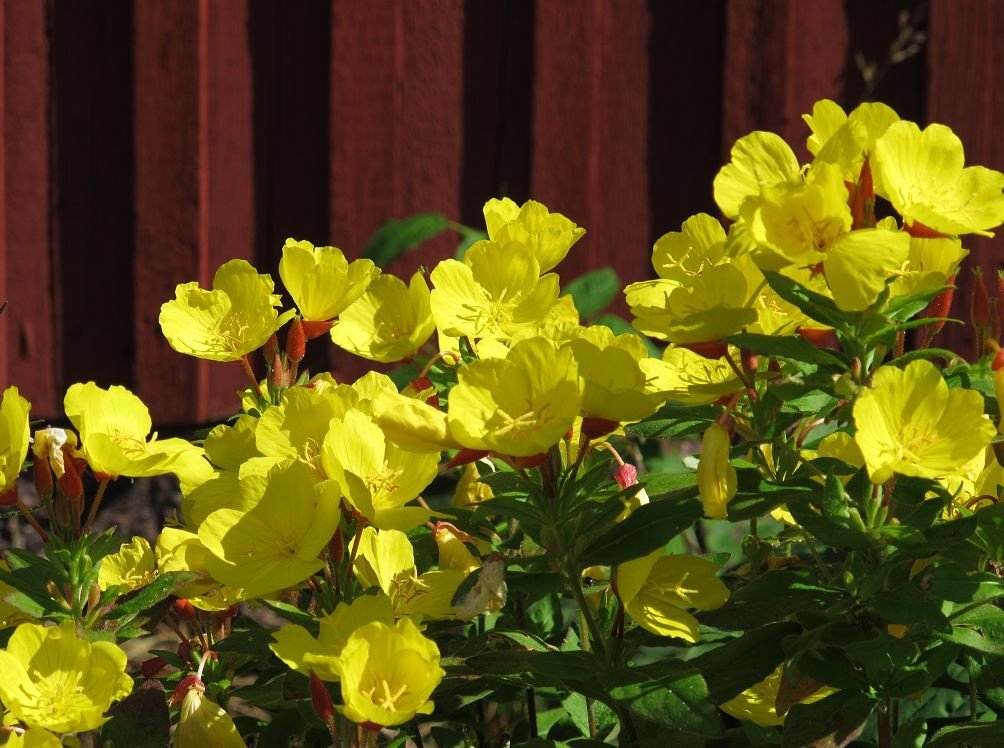 Фото взято из открытых источников