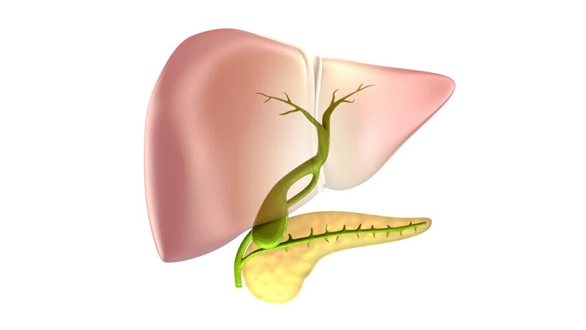 Желчекаменная болезнь картинки для презентации